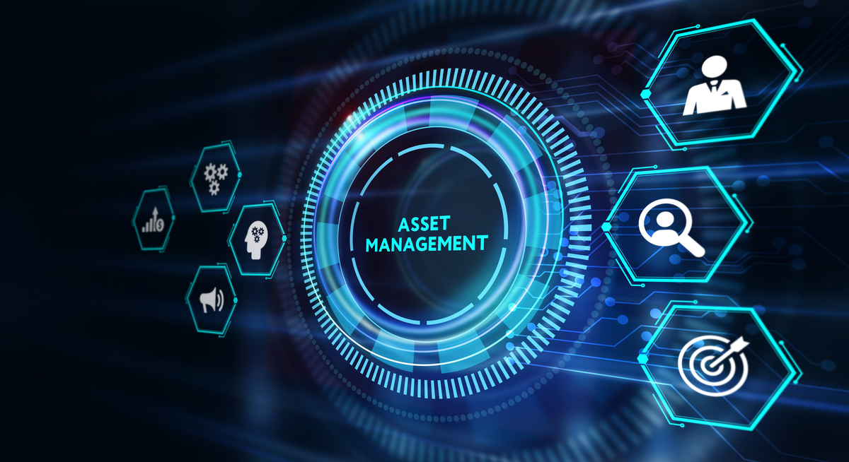 Asset Management Platform Interface